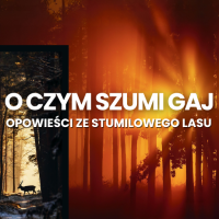 o czym szumi gaj