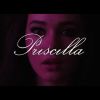 PRISCILLA - Zwiastun PL (Official Trailer)
