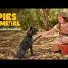 PIES NA MEDAL | Oficjalny zwiastun | Kino Świat