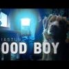 GOOD BOY | Tylko w kinach na Halloween!